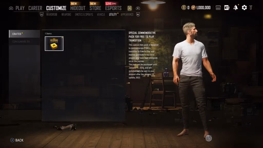 pubg-s-free-to-play-transition-pack-a-2026-survivor-s-look-back-image-2